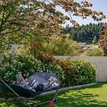 Mountain View Backpackers