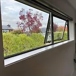 The White Room
