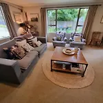 Wanaka Comfort - That Wanaka Tree