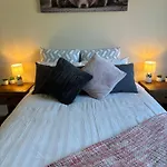 Comfort In Northlake