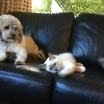 Avalanche Bed & Breakfast