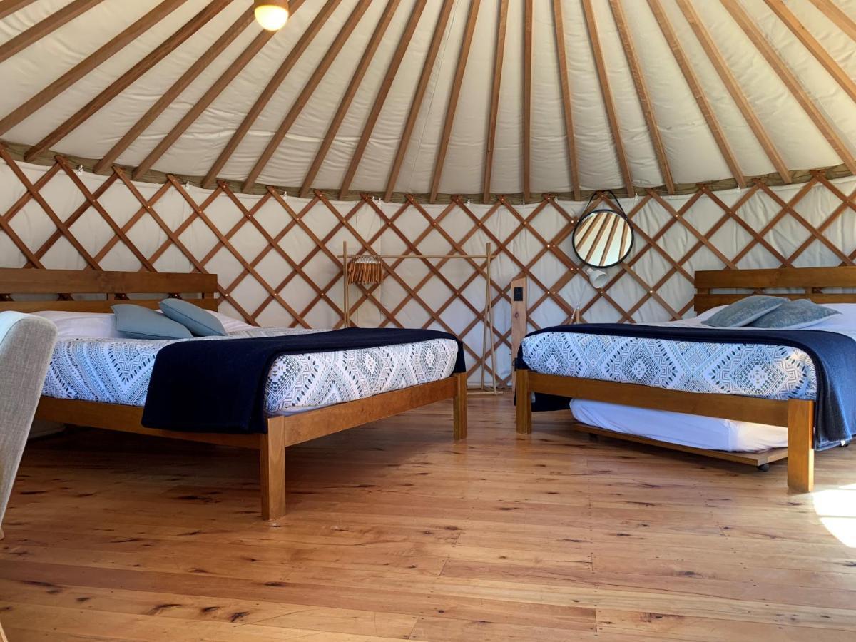 Lodge Oasis Yurt Lodge