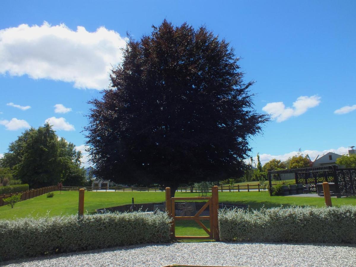 Copper Beech - Luxury 5* Wanaka