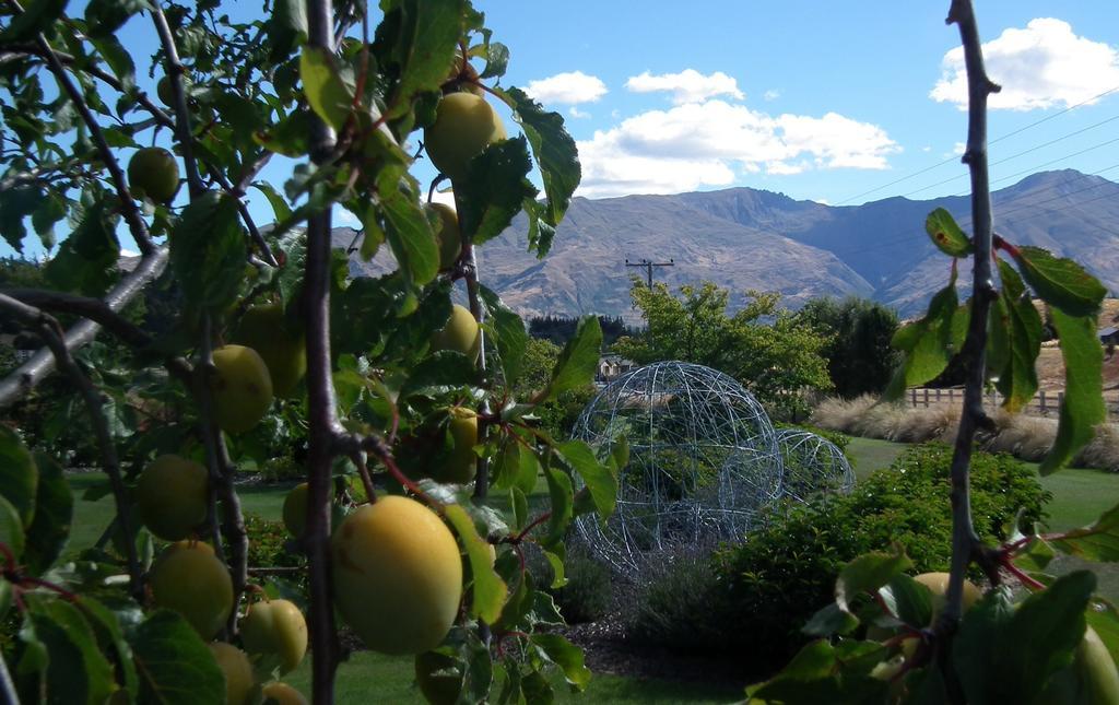 The Loft @ Hidden Hills * Wanaka
