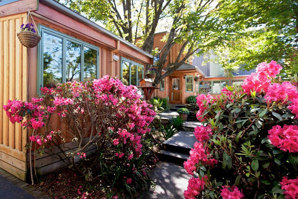 Lodge Te Wanaka