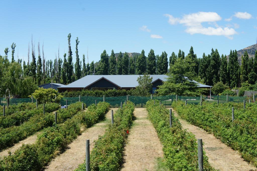 Berry Farm And 4*