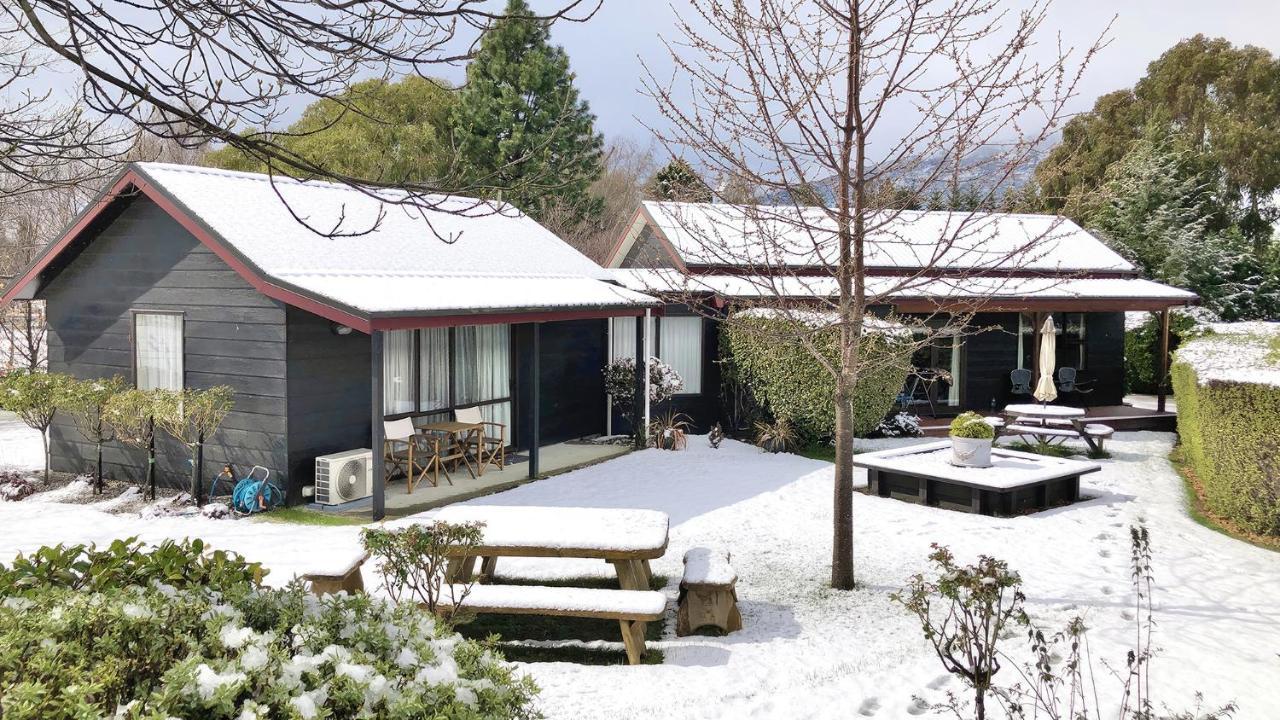 Alpine View Lodge *