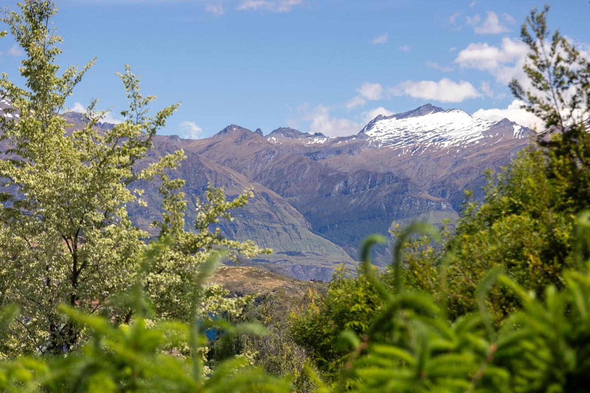 Terrific Views On Totara Wanaka