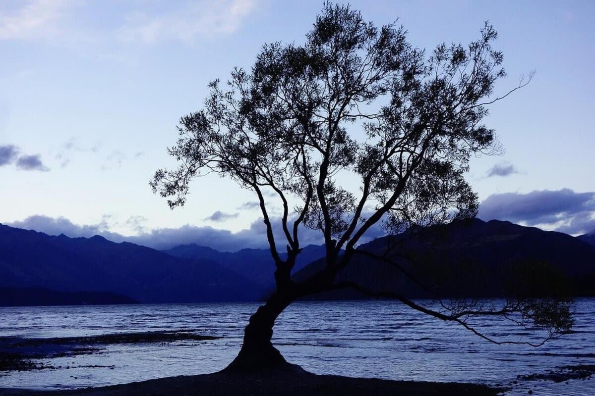 Grandview * Wanaka