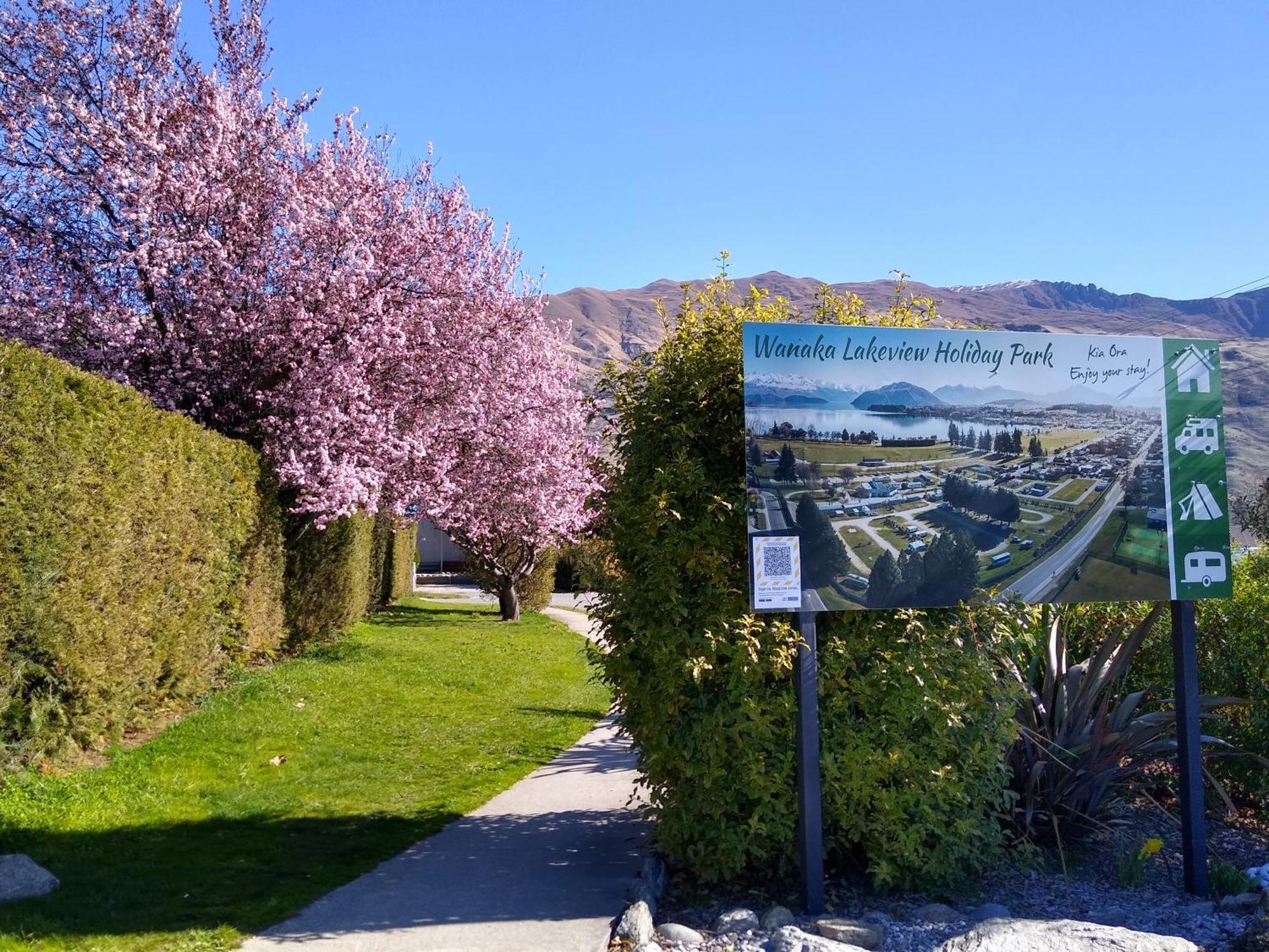 Campsite Hampshire - Wanaka