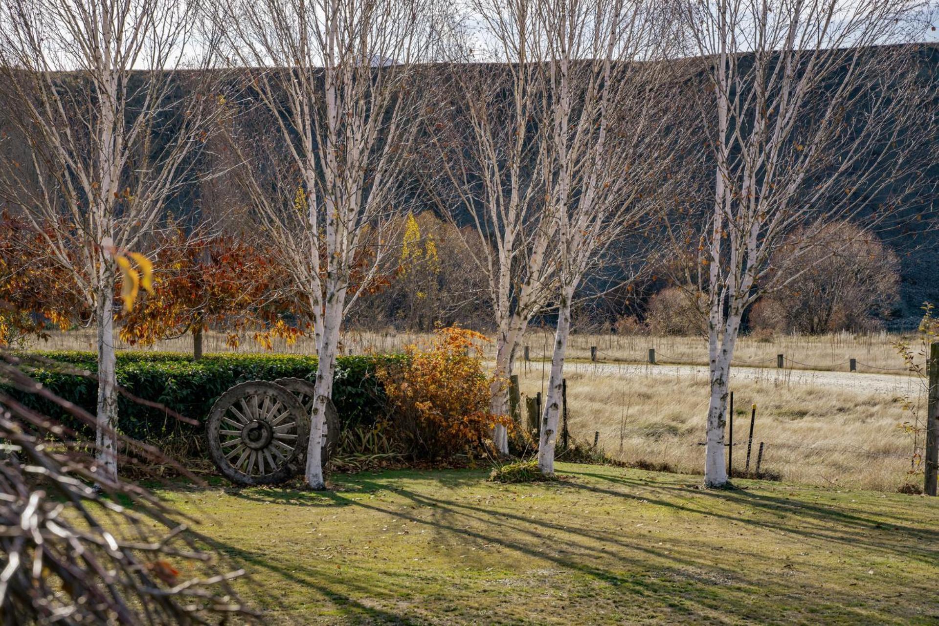 Tranquil On Ribbonwood -