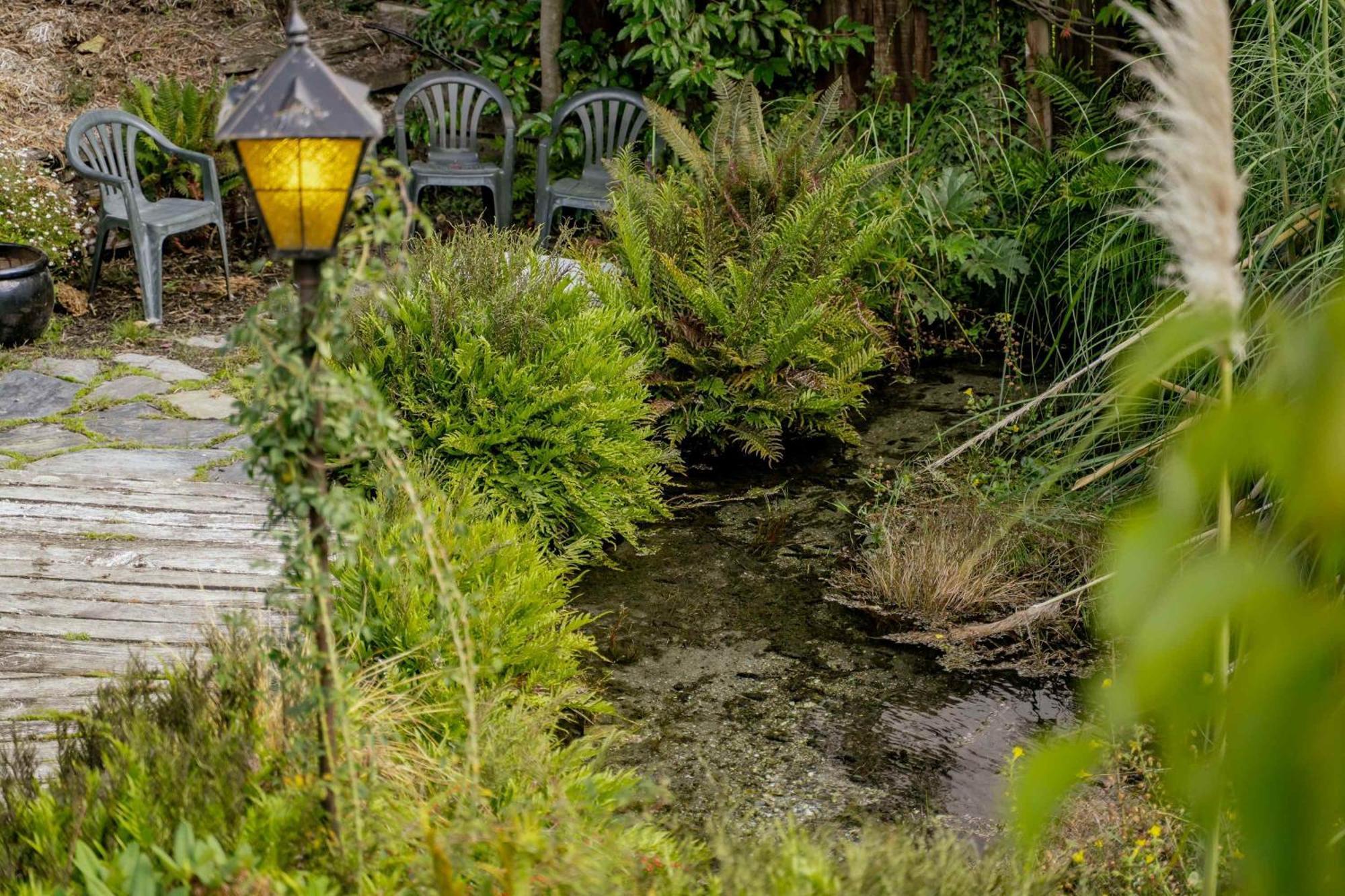 Holiday home Tranquility On Redwood Wanaka