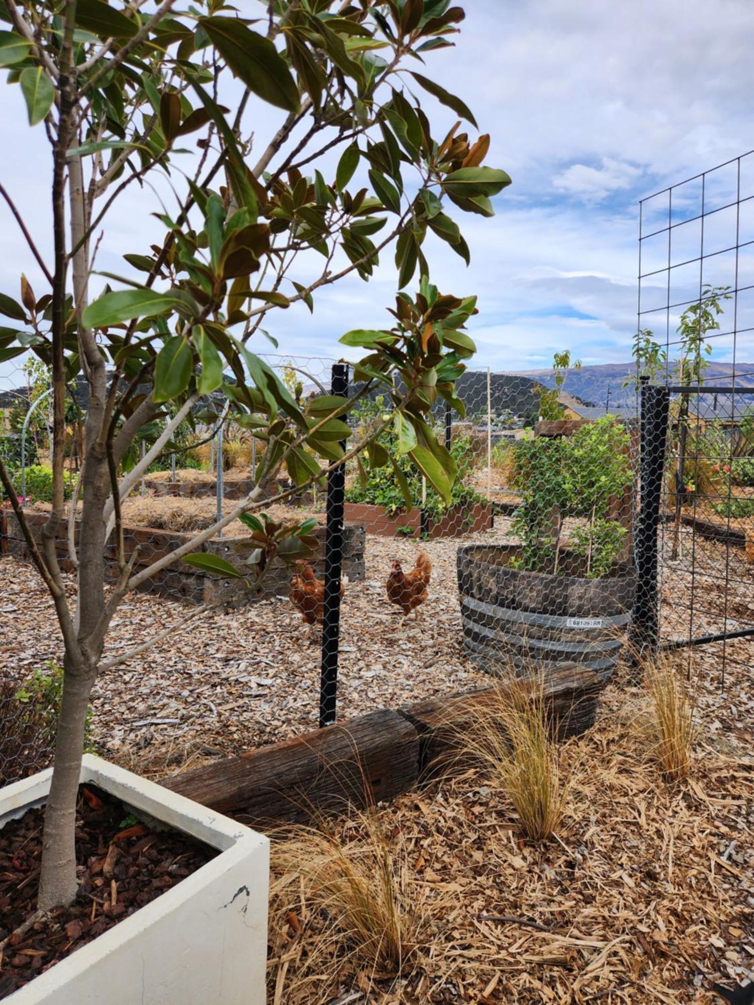 Guest house Escape To Riverslea