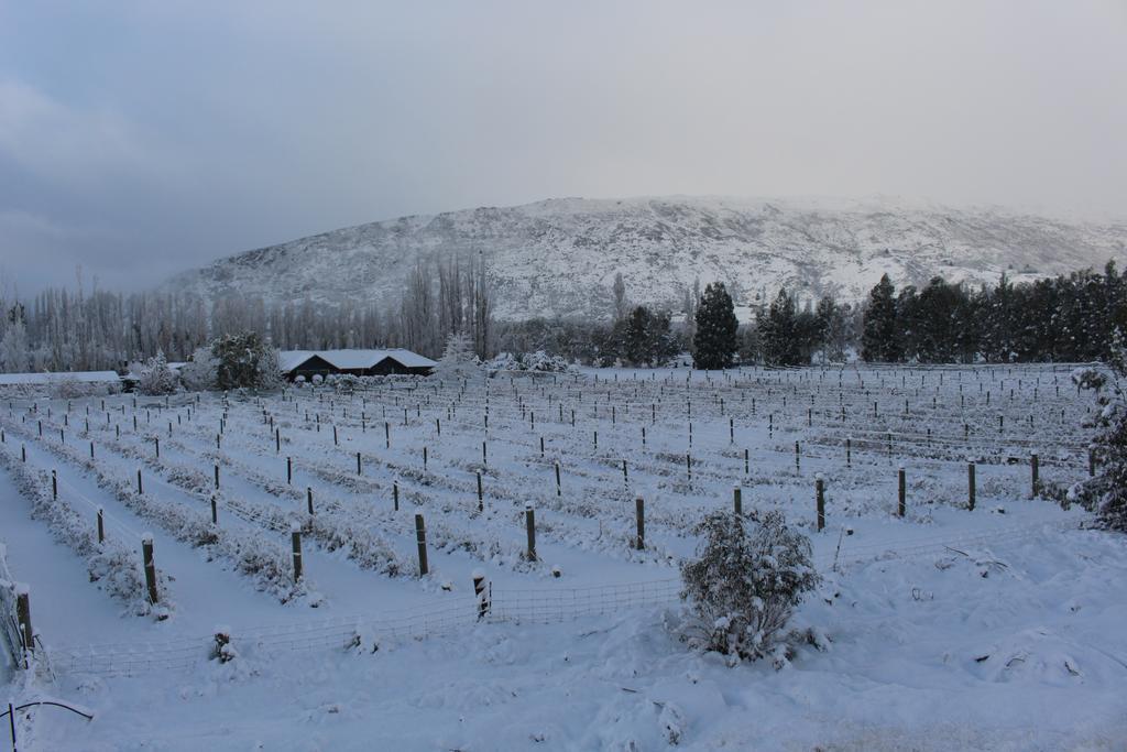Berry Farm And Bed & Breakfast 4*