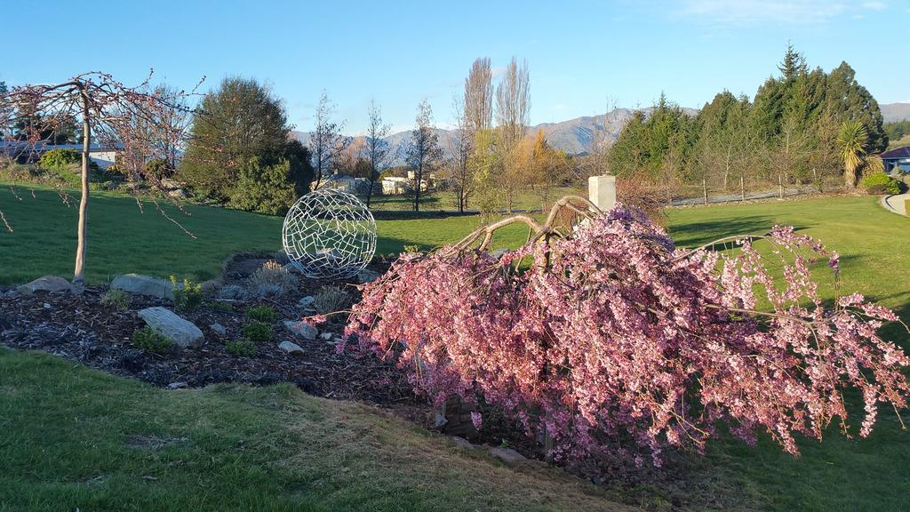 Alpine Bed & Breakfast Wanaka