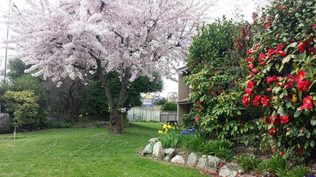 Fairway & Wanaka
