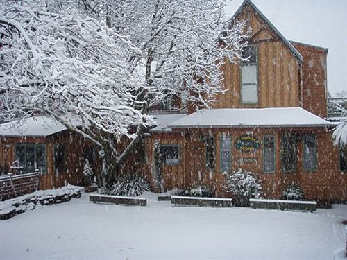 Lodge Te