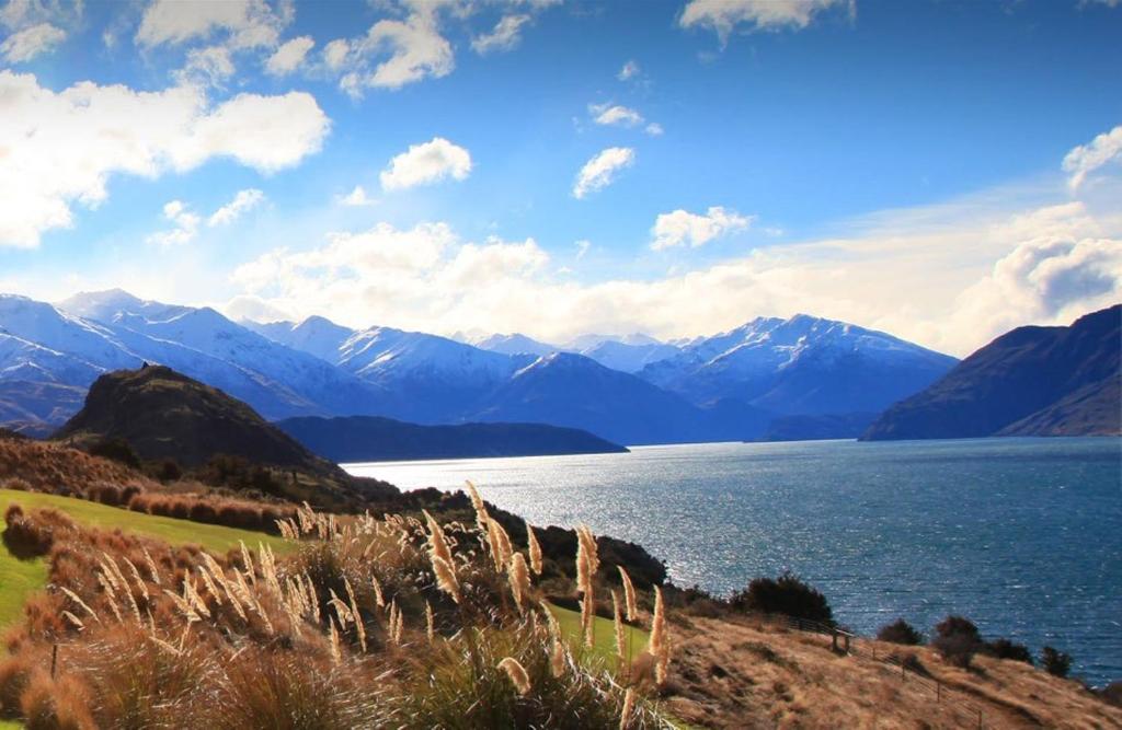 Whare Kea And Holiday home *