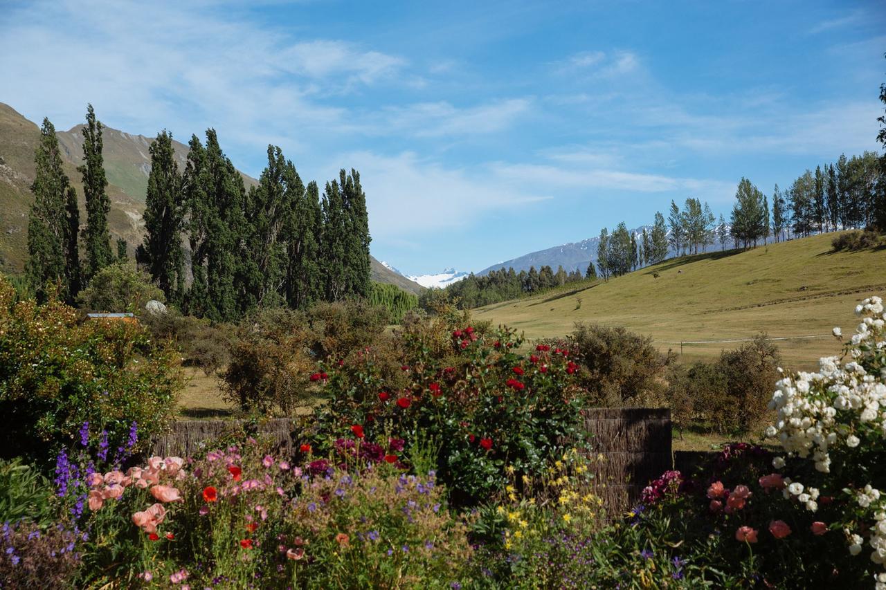 Avalanche Bed & Breakfast Wanaka