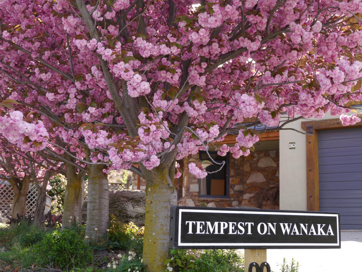 Bed & Breakfast Tempest On *