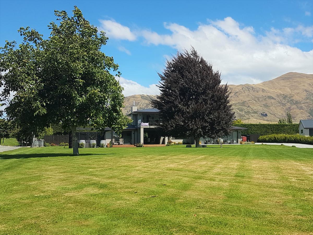 Copper Beech - Luxury