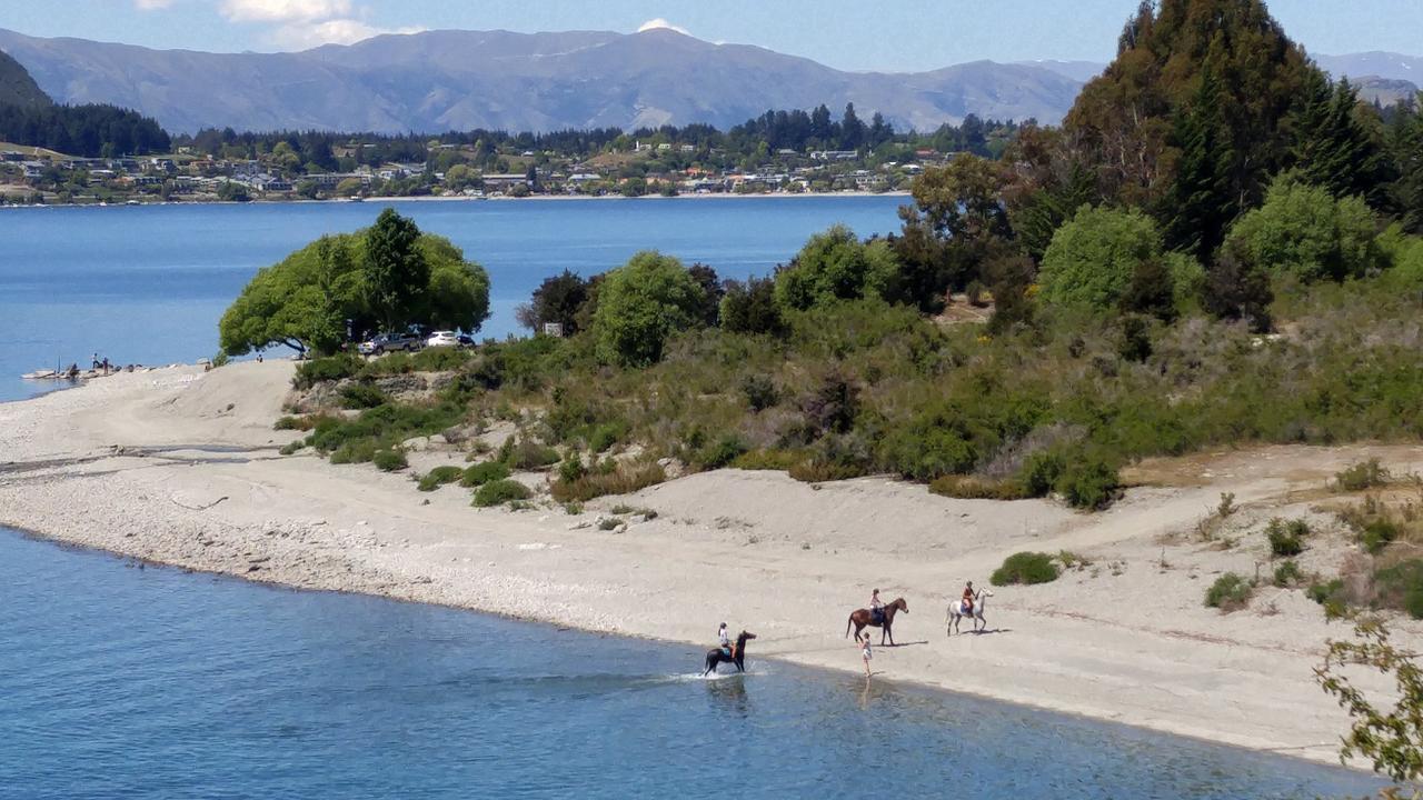 Zula Wanaka