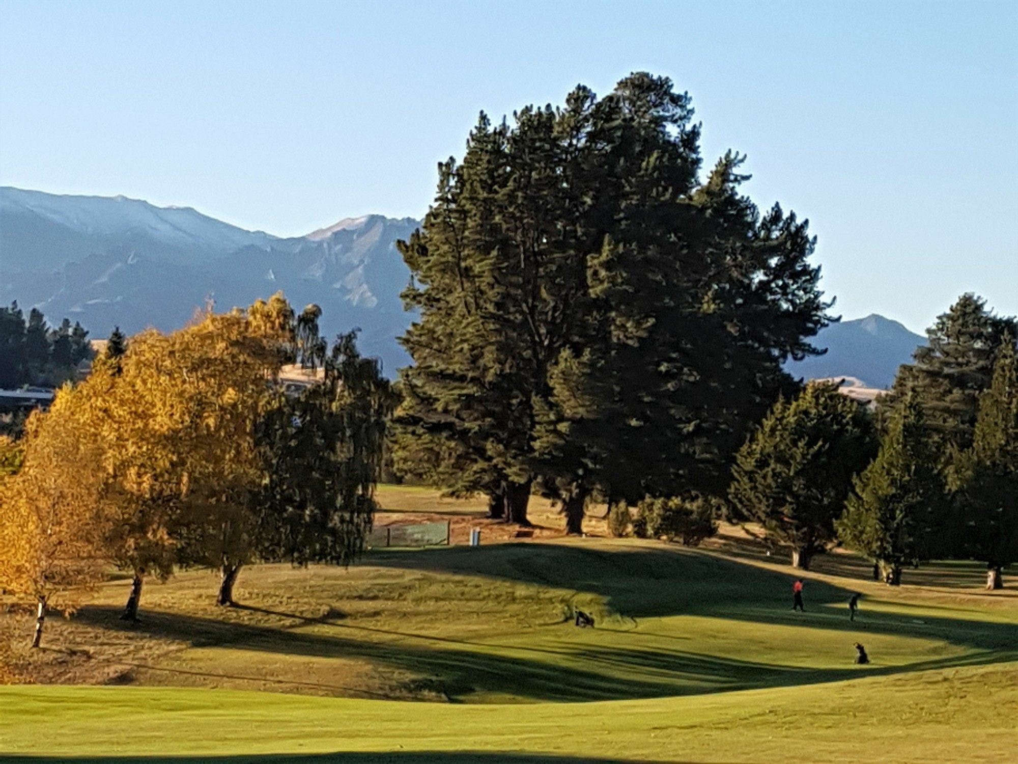 Copper Beech - Luxury Bed & Breakfast Wanaka