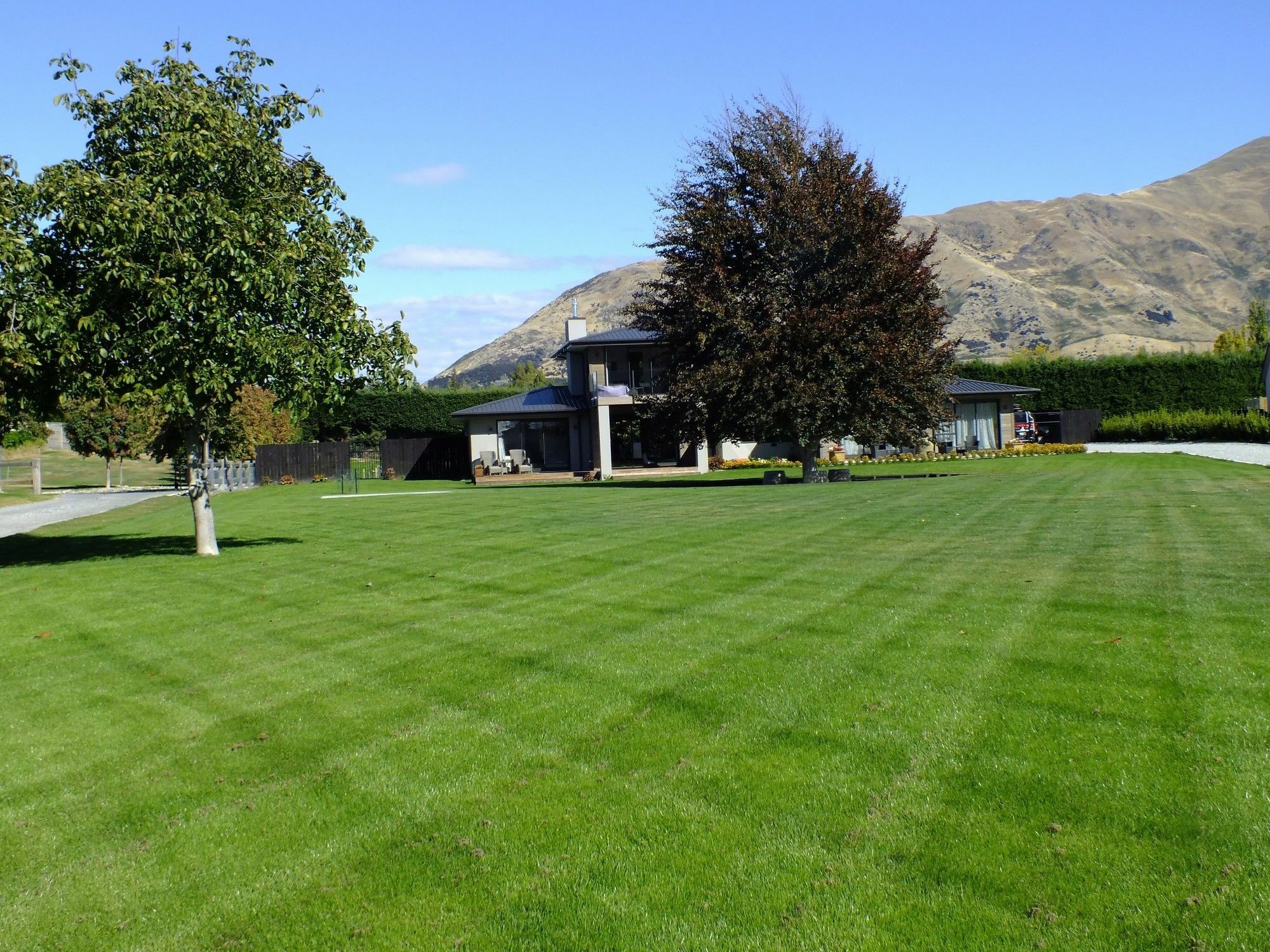 Copper Beech - Luxury