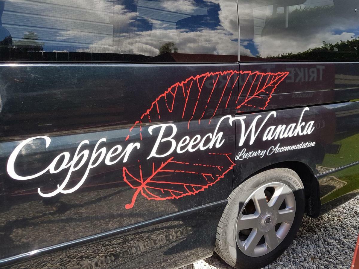 Copper Beech - Luxury