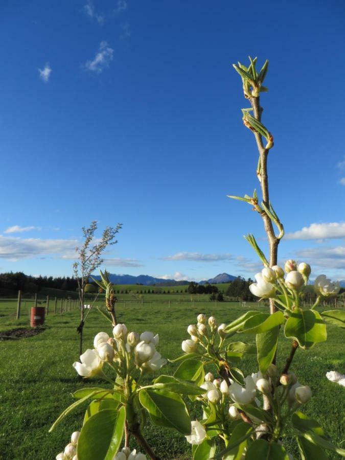 Quiet In Paradise * Wanaka