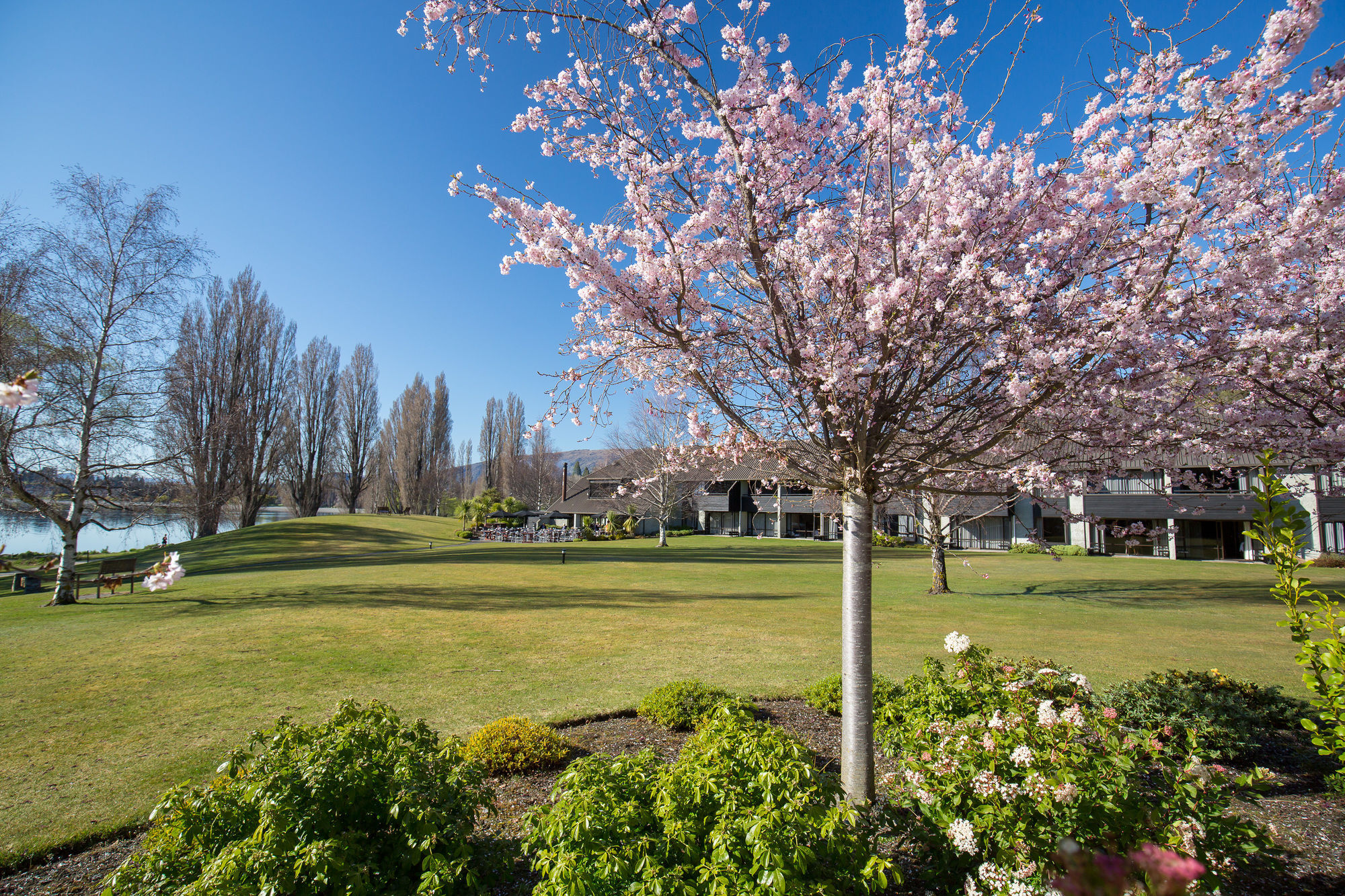 Edgewater Wanaka