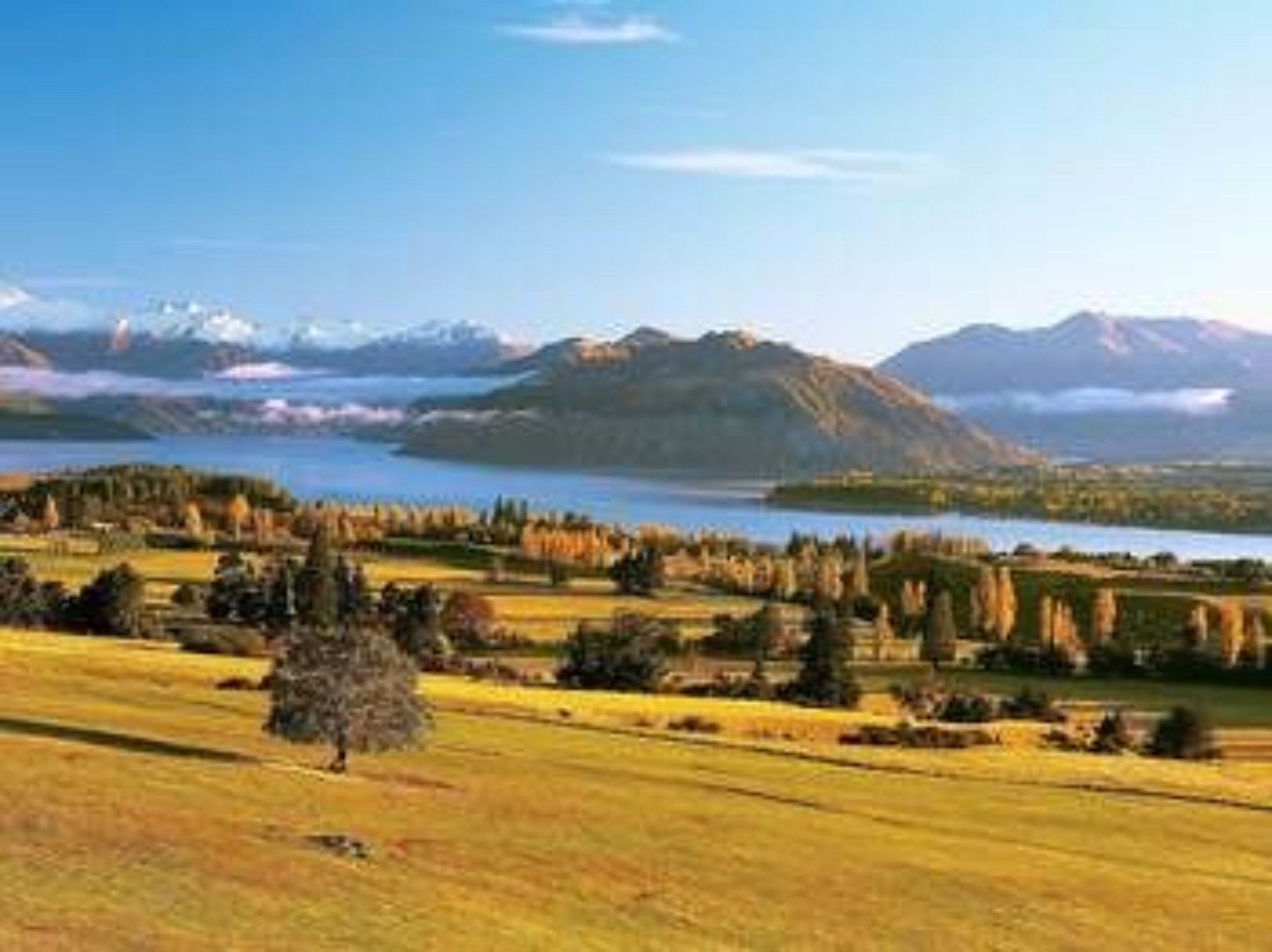 Oakridge Hotel 4*