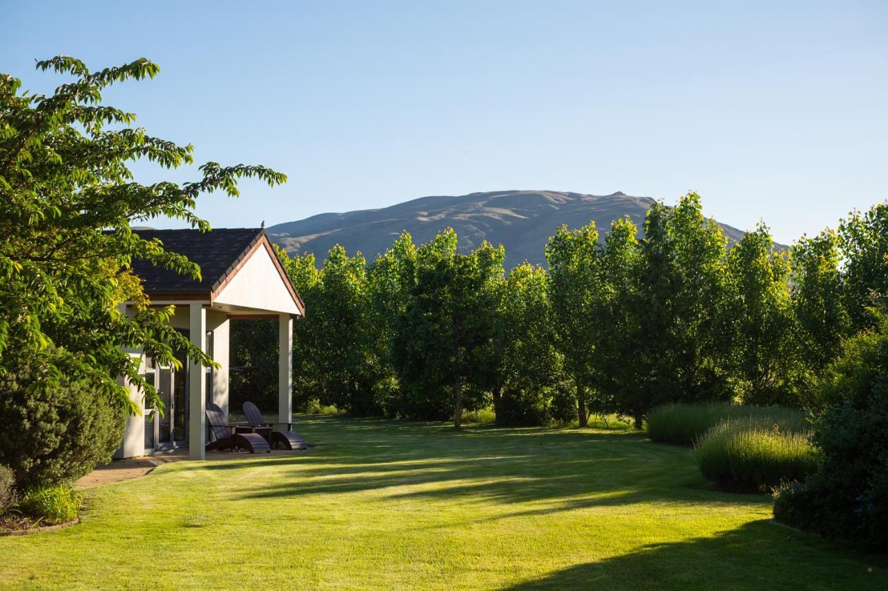 Lime Tree Wanaka