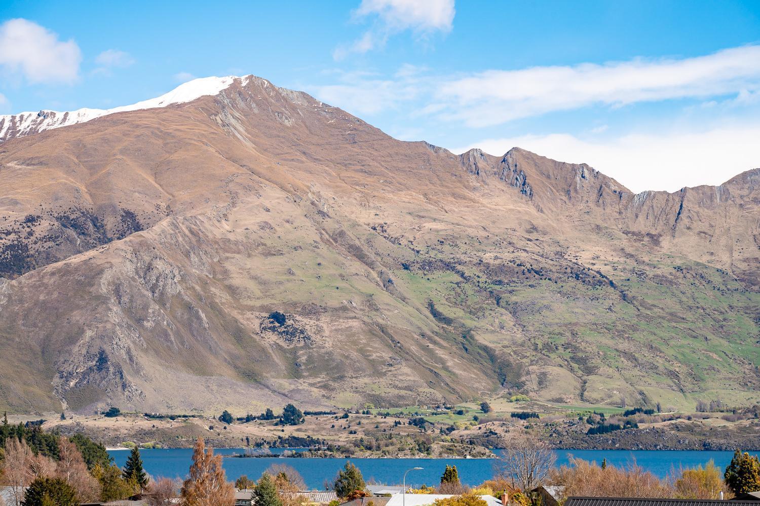 Peaks And Pines * Wanaka
