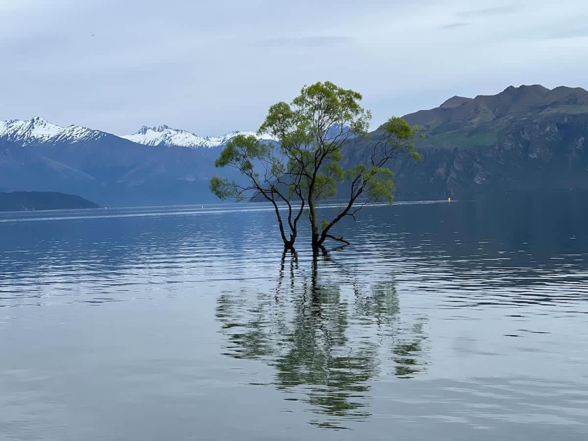 Aspiring View Wanaka