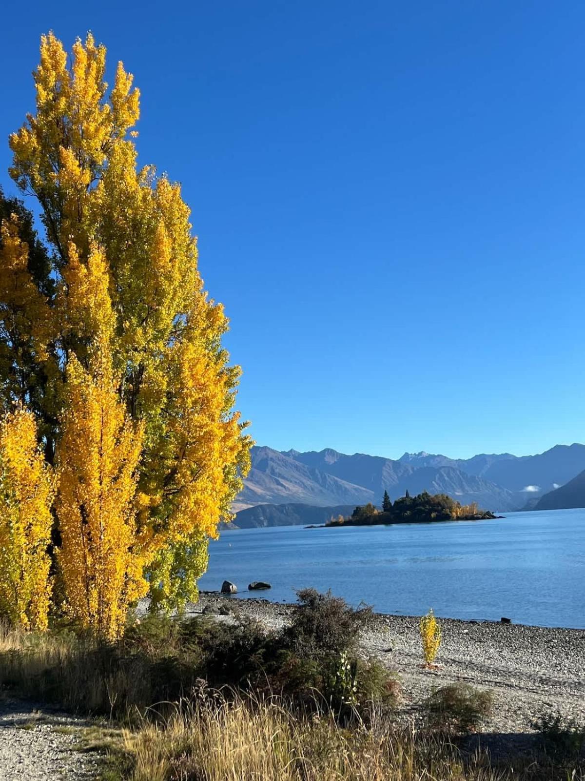 Apartment Aspiring View Wanaka