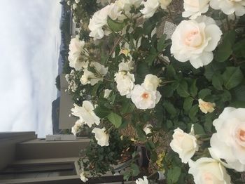 Bed & Breakfast 51 4*
