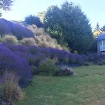 Lake Wanaka Lodge