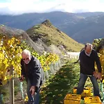 Mt Rosa Lodge Boutique Vineyard Accommodation