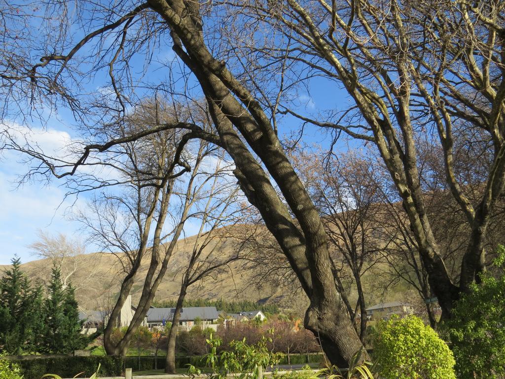 Guest house Altamont Wanaka