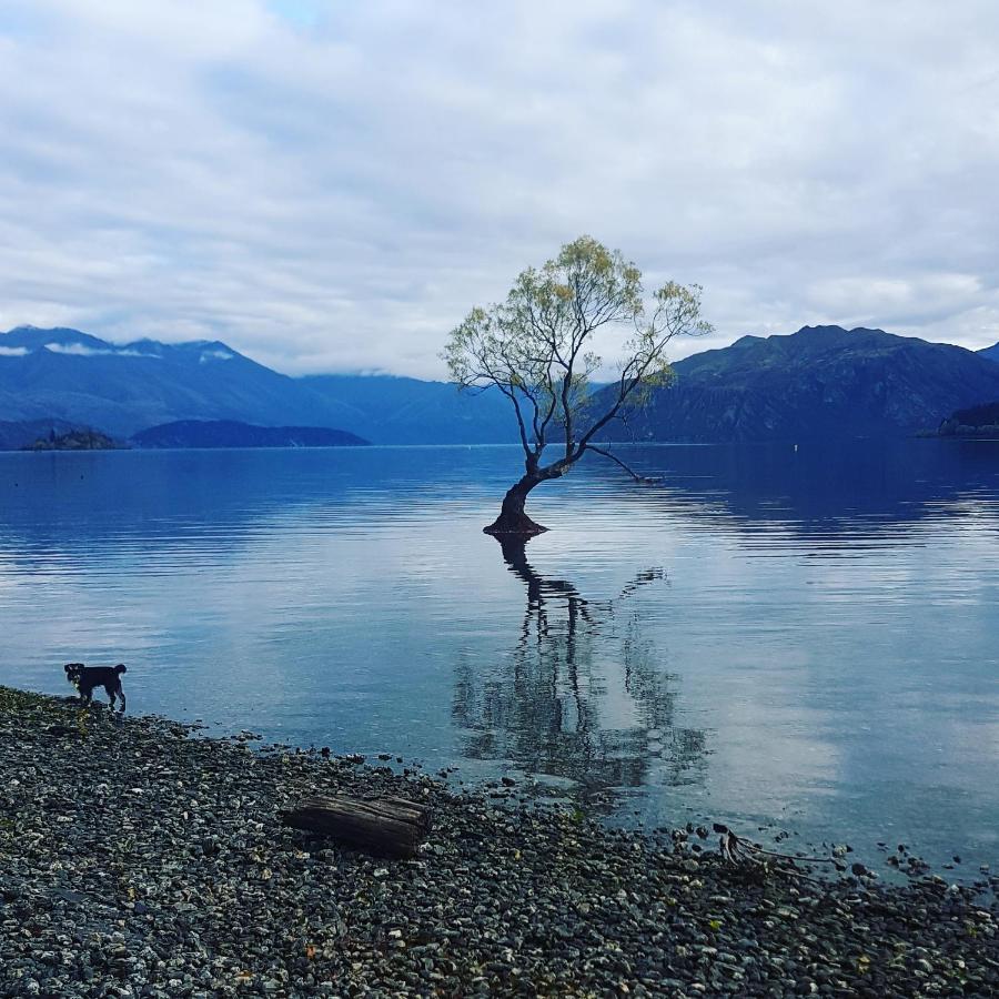Alto On Hedditch Wanaka