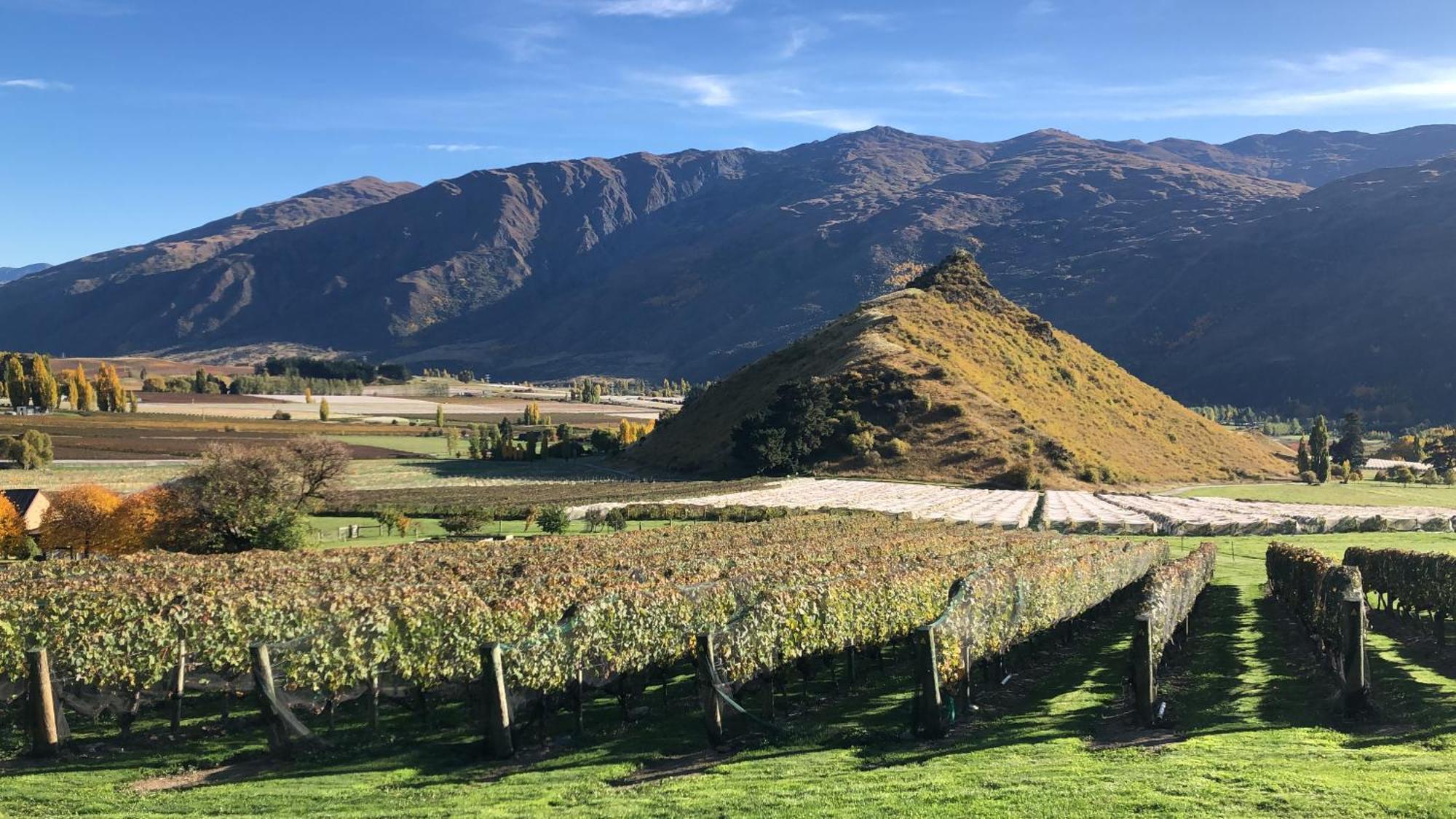 Mt Rosa Boutique Vineyard Bed & Breakfast