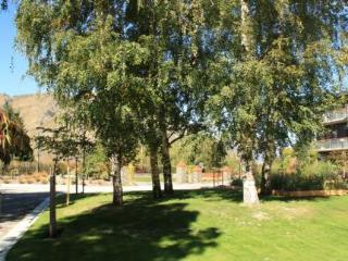 Lodge Shotover *