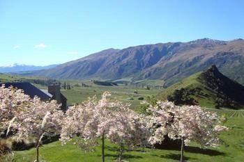 Mt Rosa Boutique Vineyard 5* Wanaka