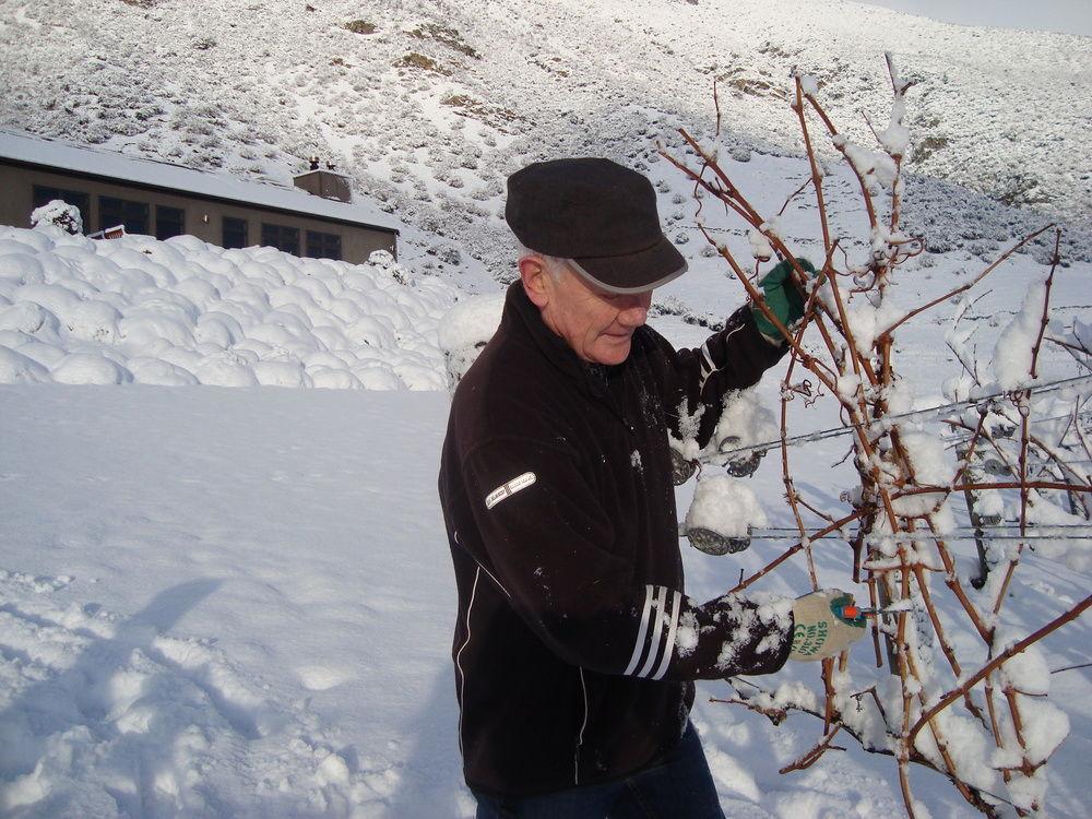 Mt Rosa Boutique Vineyard 5*