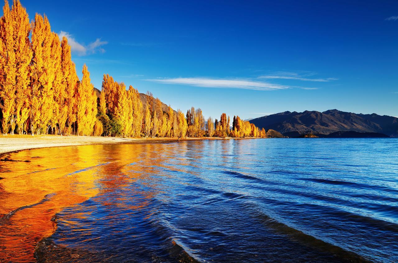 Joan's @ 21 * Wanaka