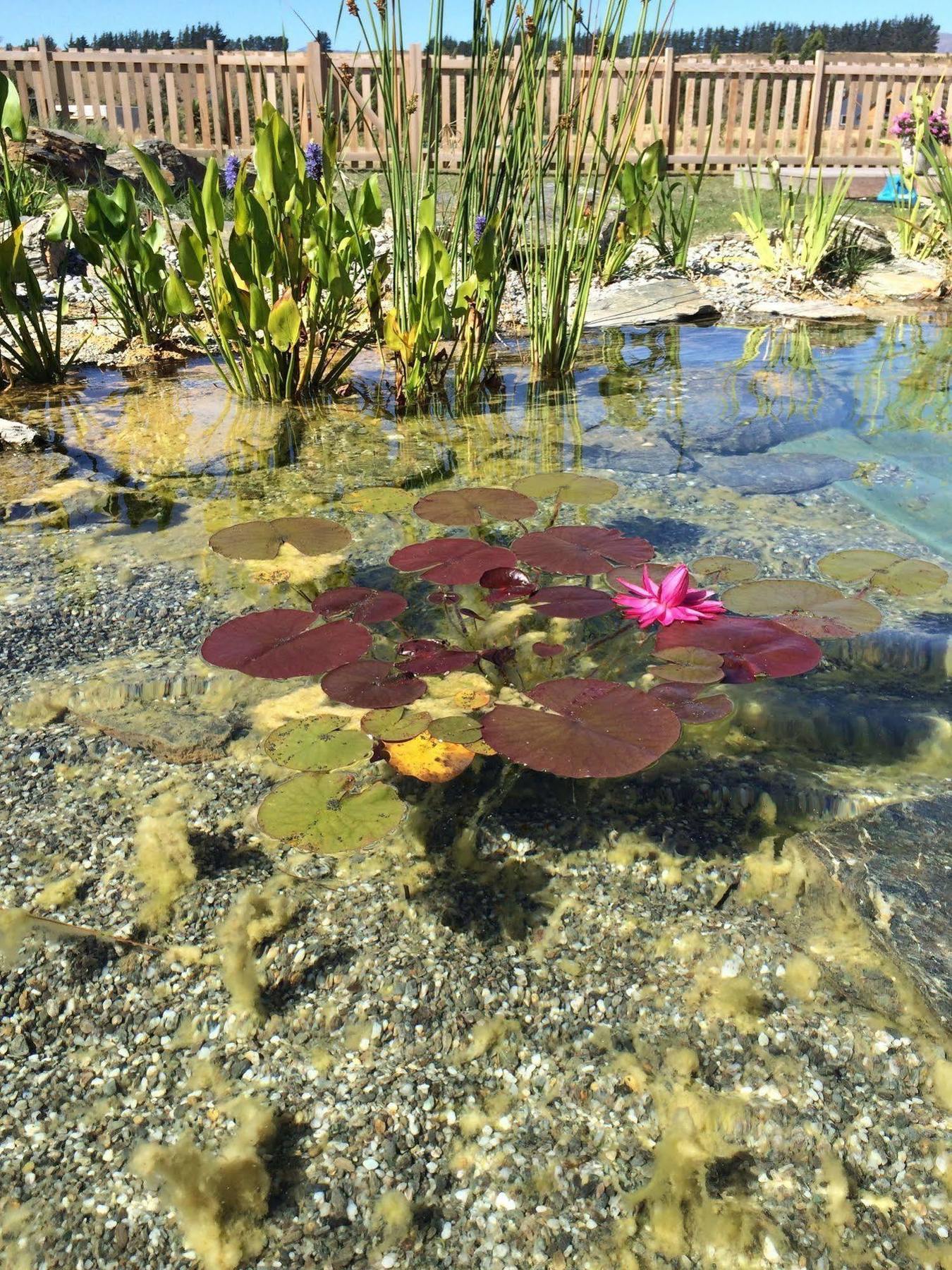 Haven Wanaka