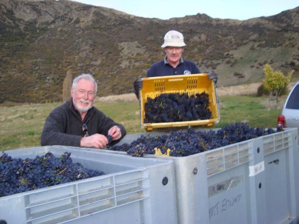 Mt Rosa Boutique Vineyard Wanaka